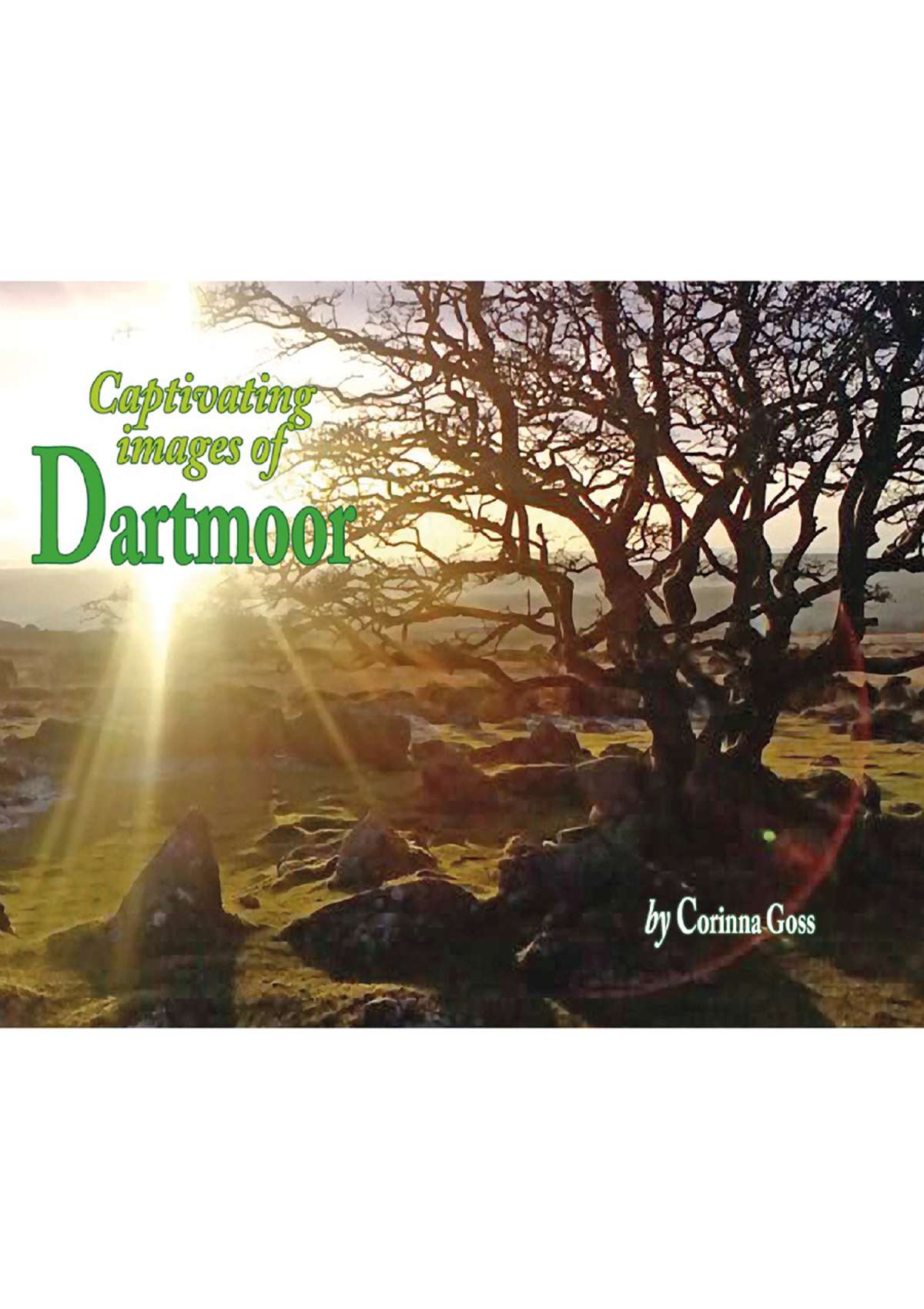 4242 - Captivating Images of Dartmoor