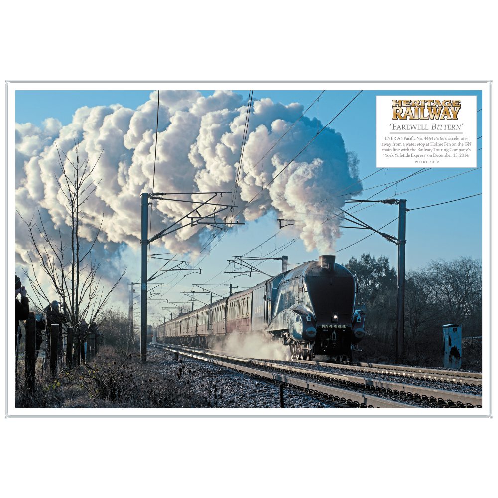 Farewell Bittern - LNER A4 Pacific No. 4464 (A4 Poster)