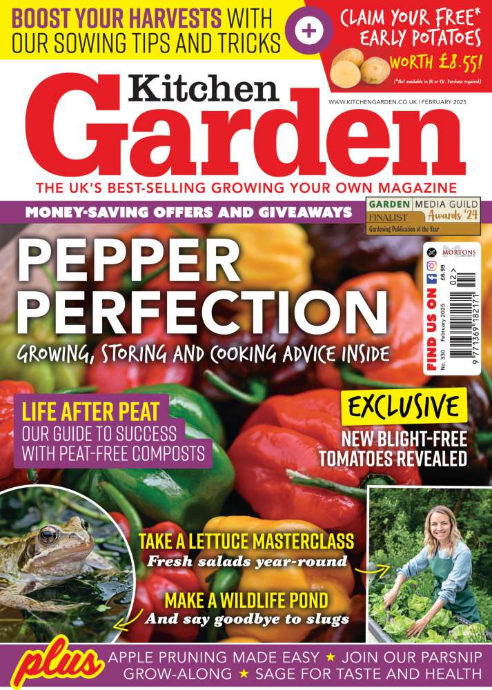 Kitchen Garden