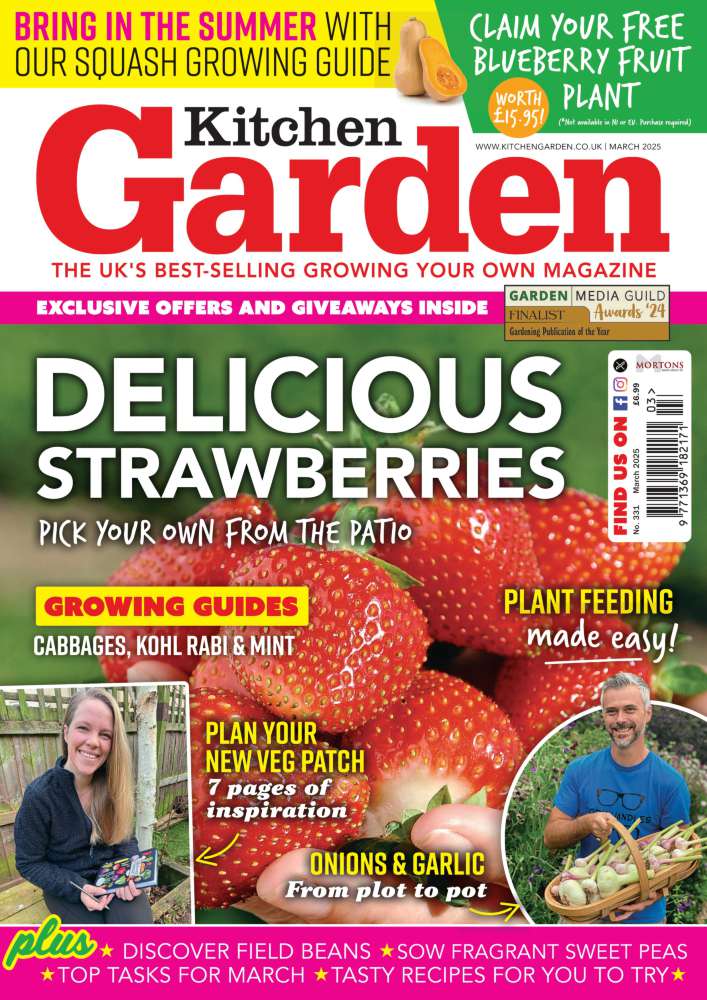 Kitchen Garden
